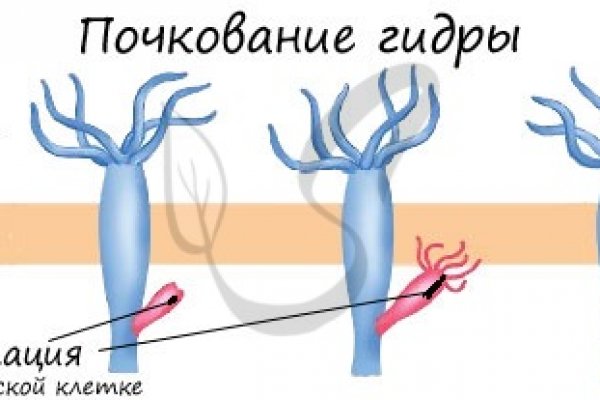 Кракен настоящее зеркало